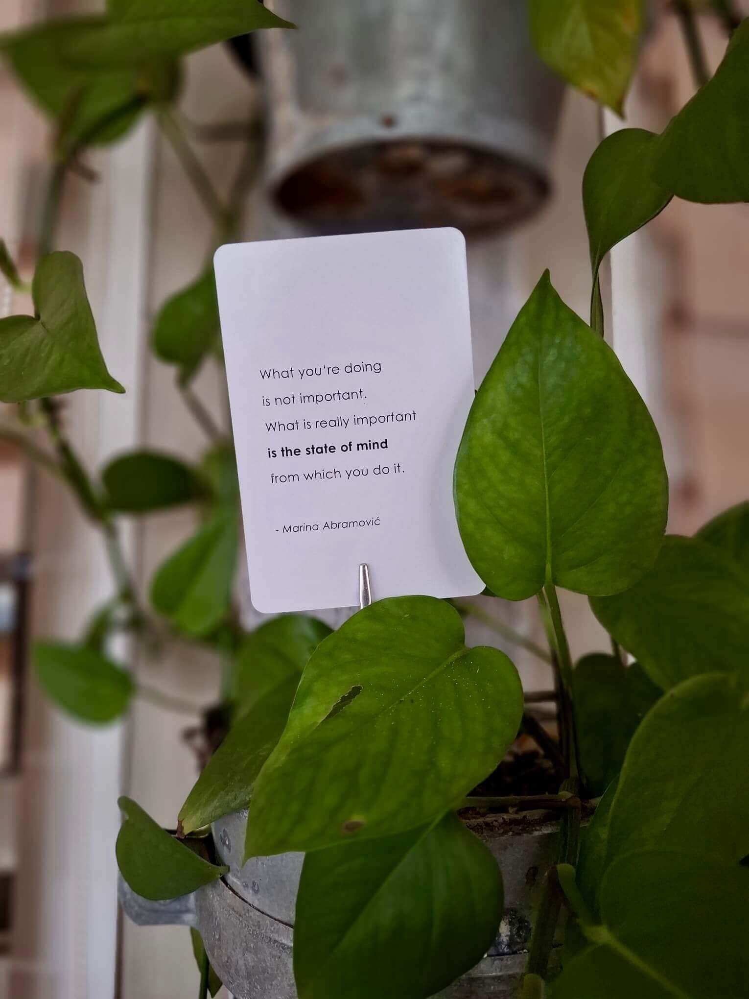 schreiben-meerschreibzeit2025-inspiration-state-of-mind